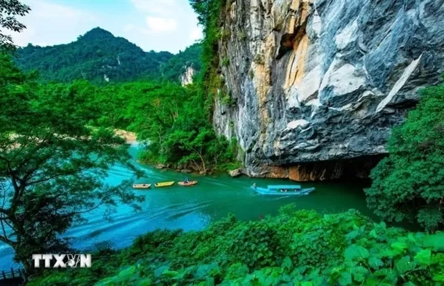 Phong Nha – Kẻ Bàng: untapped biological treasure in Trường Sơn mountains