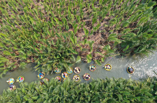 Hoi An to launch new tour at Cam Thanh Coconut Forest